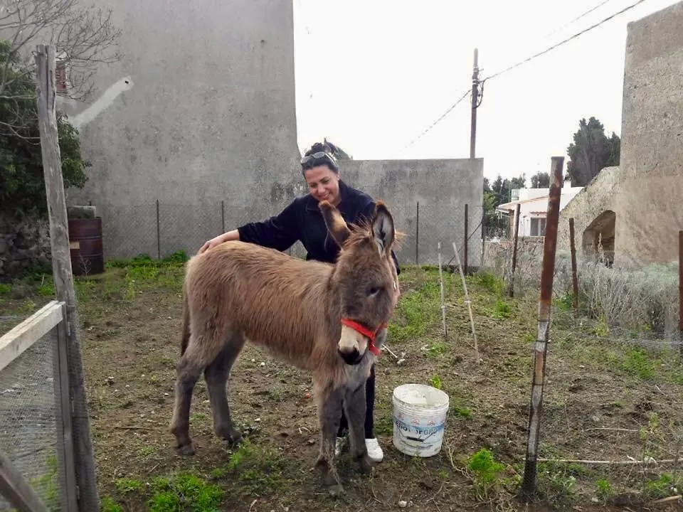 Agriturismo U Zu Peppino Lipari  Farm stay Lipari (Isola Lipari)