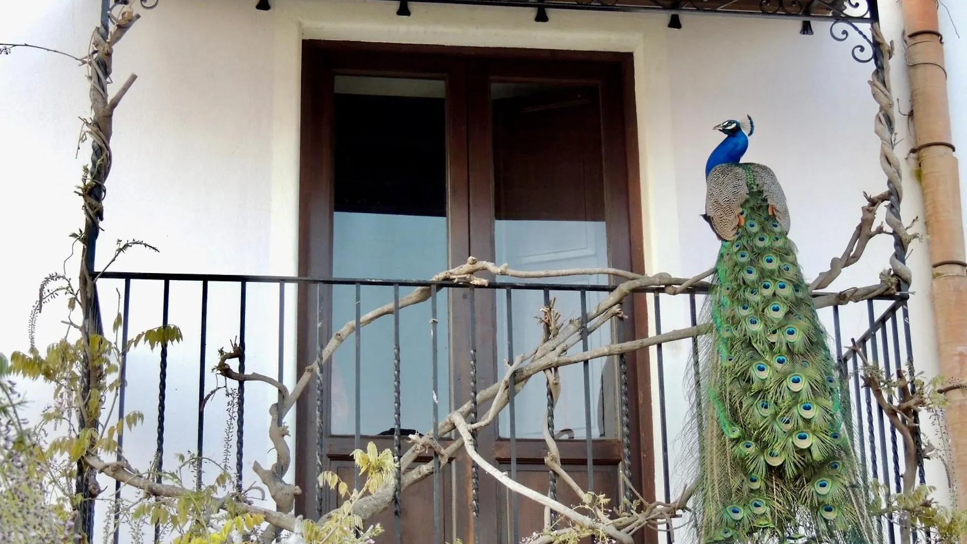 Agriturismo U Zu Peppino Lipari  0*, Lipari (Isola Lipari) Italy