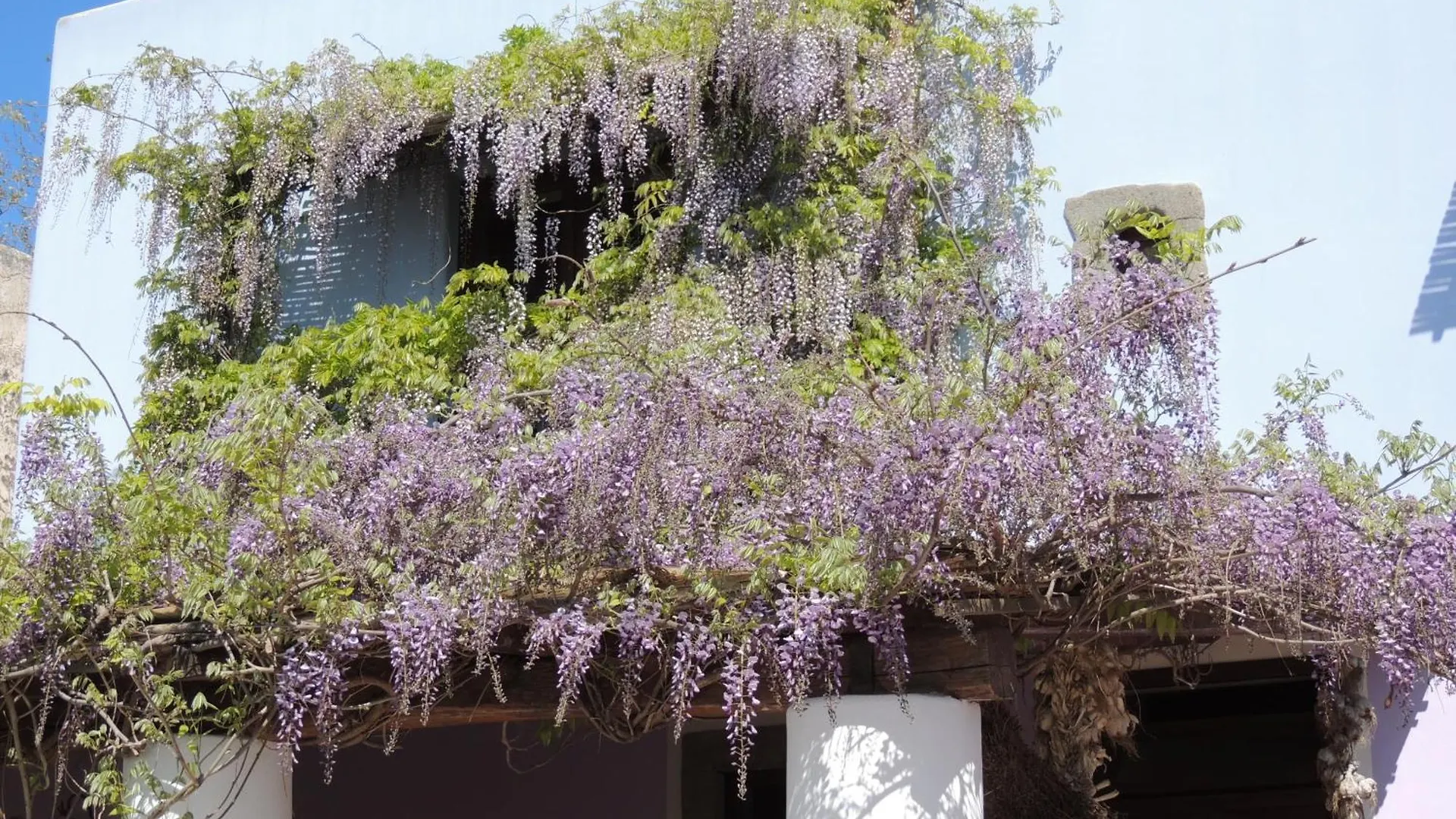 Agriturismo U Zu Peppino Lipari  Farm stay